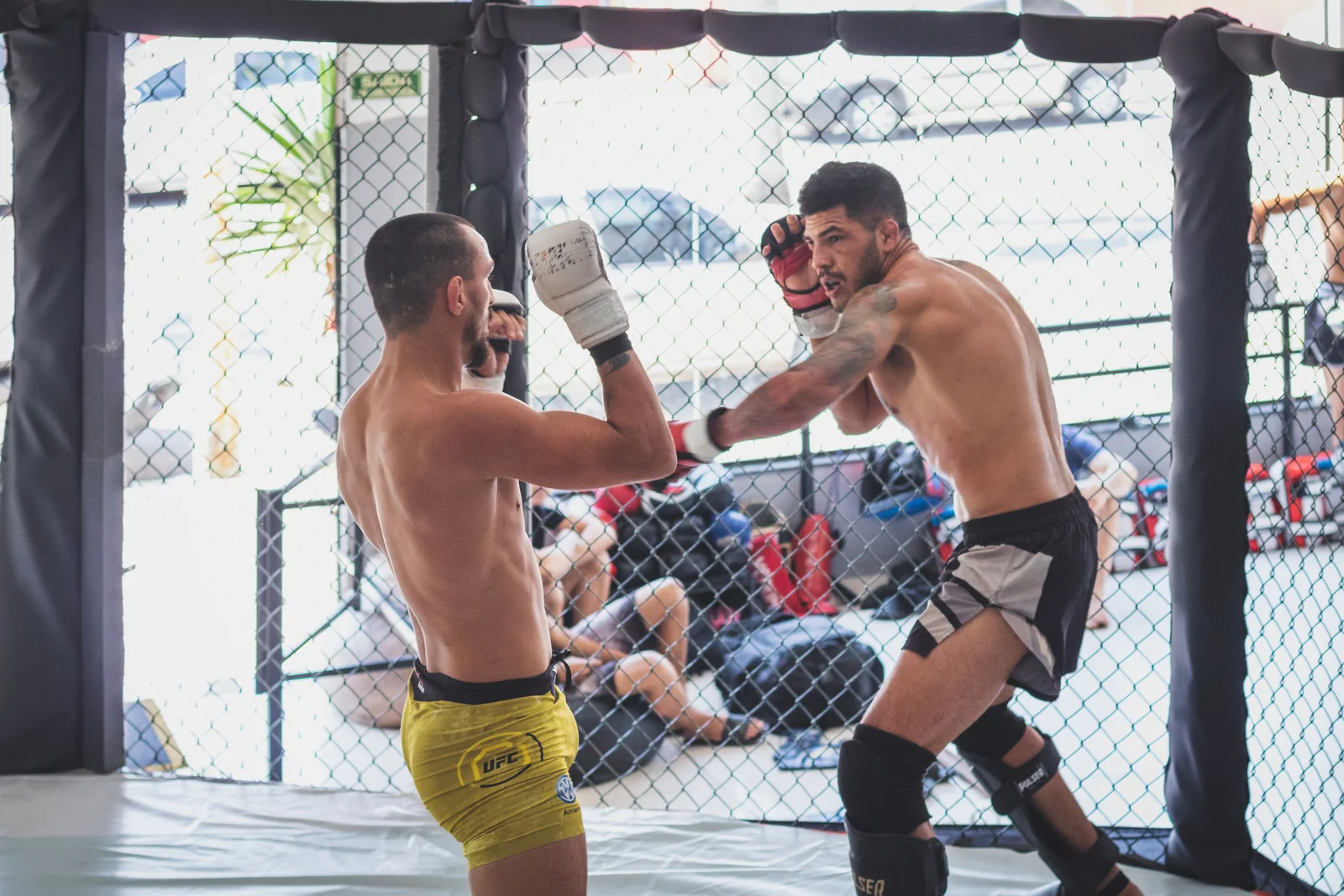 Twee trainingspartners oefenen striking in een MMA-trainingskooi.