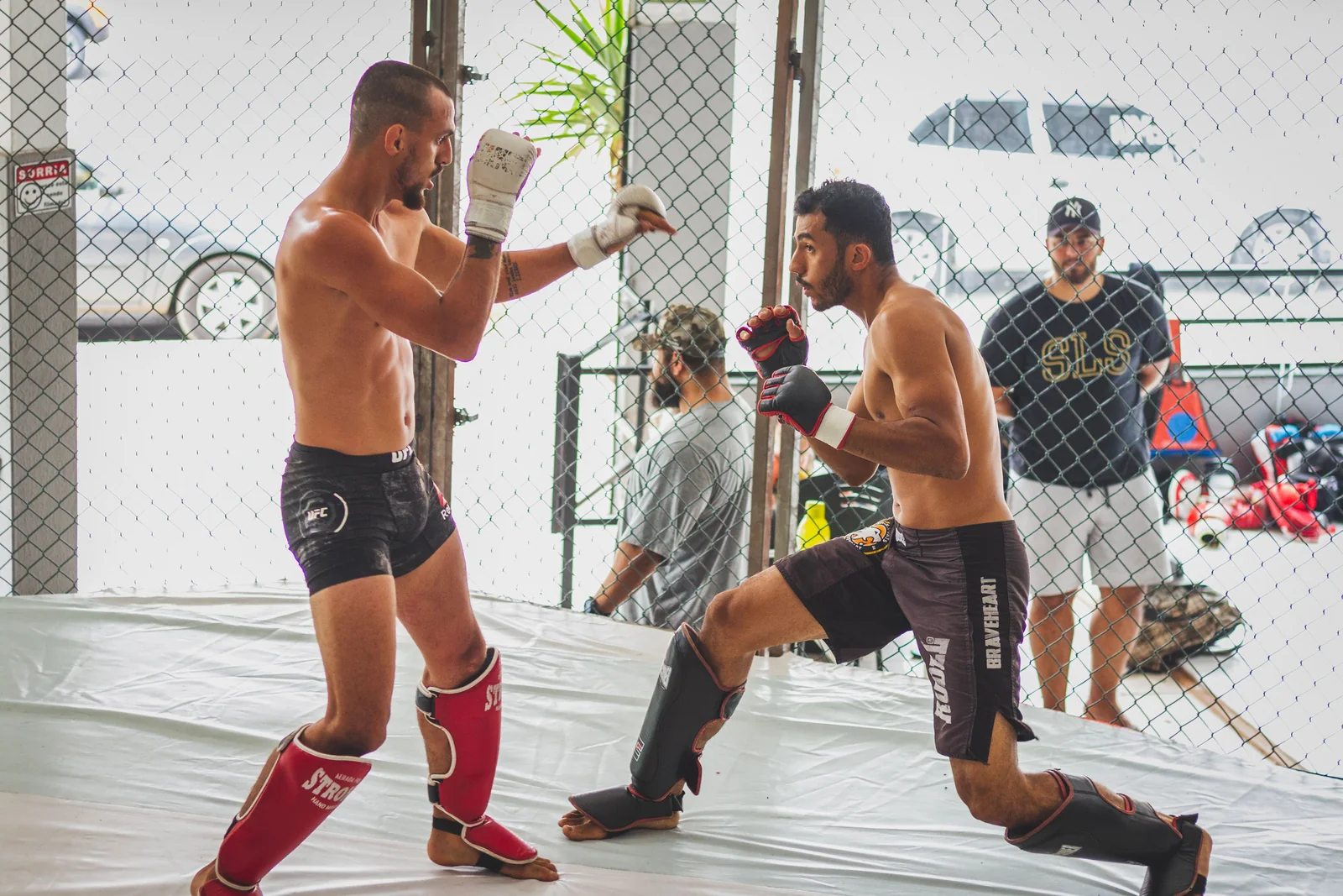 Trainingspartners sparren met handschoenen en scheenbeschermers in een MMA-gym.